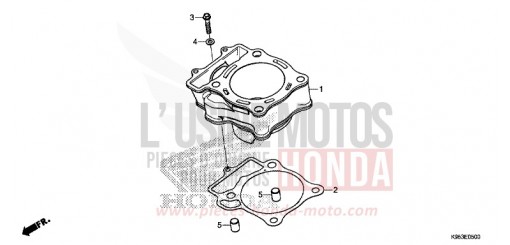CYLINDRE CRF250RL de 2020